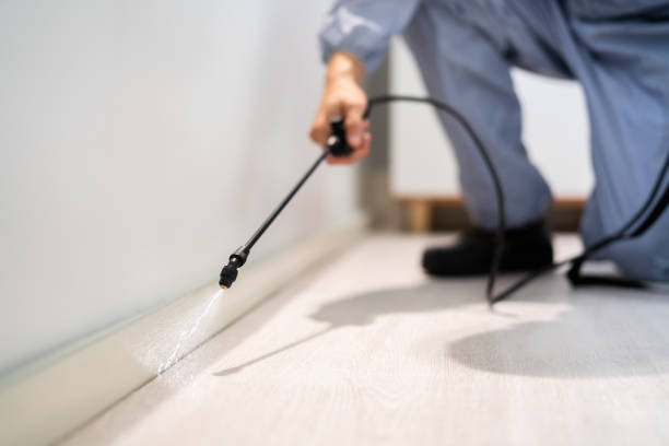 Licensed Pest Control service in Doña Ana County County, NM - Nex Pest Control