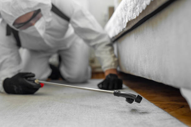 Professional Pest Control technician working in Doña Ana County County, NM
